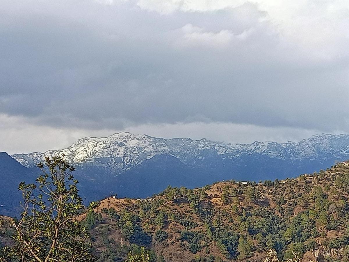 Shiva Valley Resort Kokhliyal Gaon Exterior photo